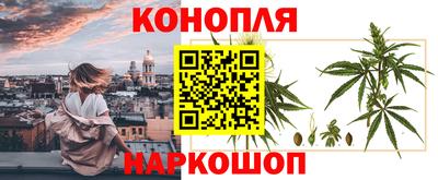амф Кимры